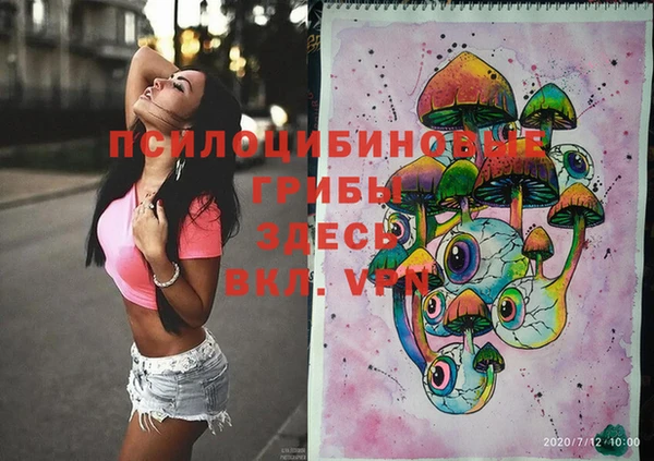 спайс Алексин